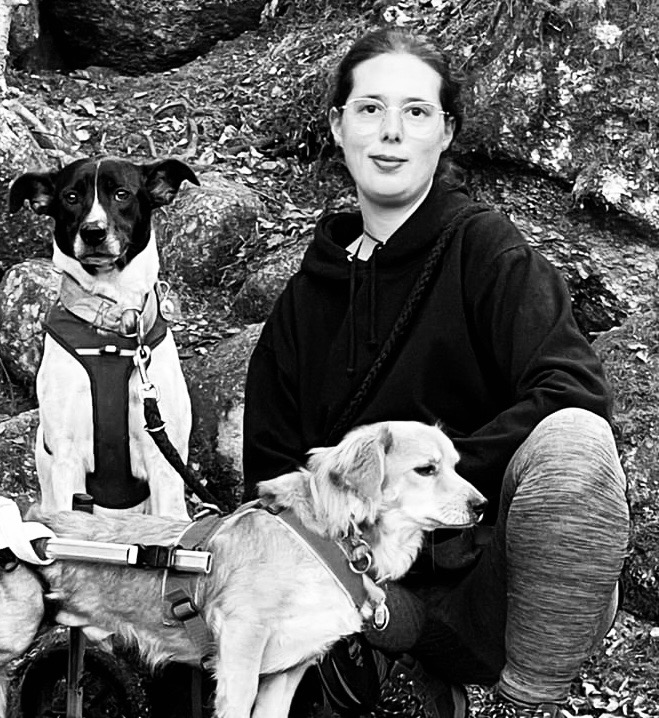 84009a78-e340-4745-b613-60d008f0a275