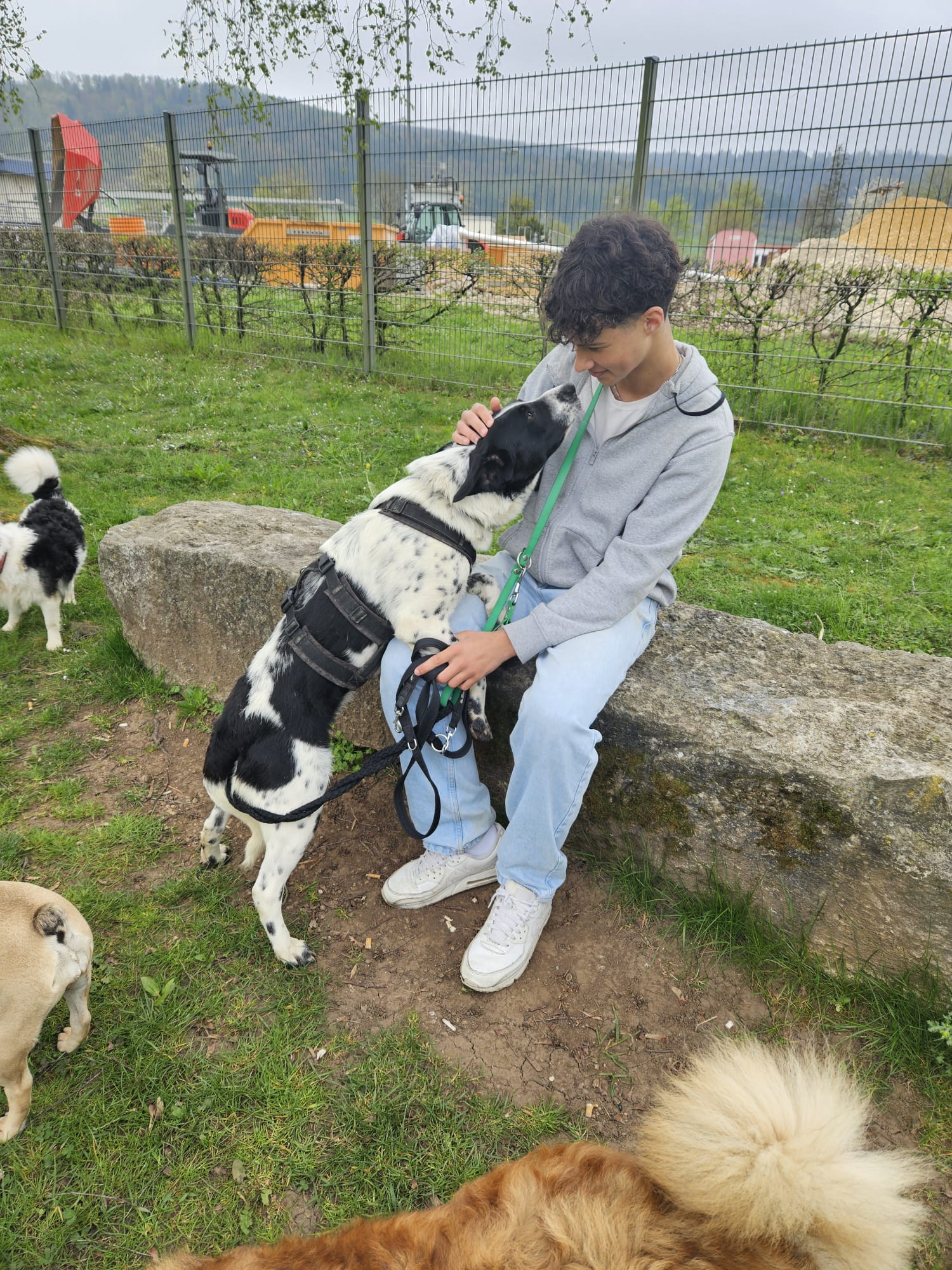 PHOTO-2026-01-04-10-19-20